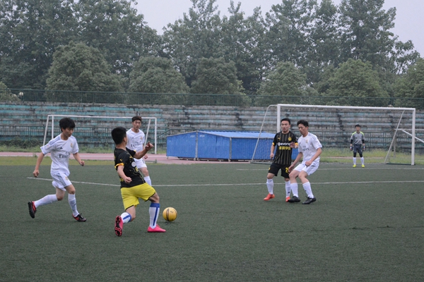 1463032474786661.jpg DSC_6050.JPG